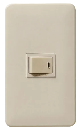 case-switch
